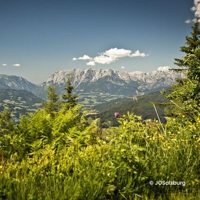 With the Westbahn to St. Johann im Pongau